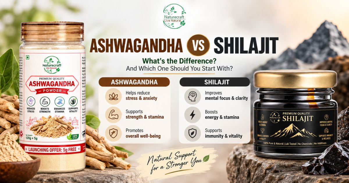 Ashwagandha vs Shilajit: What's the Difference and Which One Should You Start With?