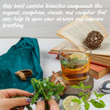 TATWANI HERBALS Tulsi Dried Leaves 50g for Tea, Infusions, and Natural Remedies | Holy Basil Leaves for Immunity Boost and Respiratory Wellness Men & Women