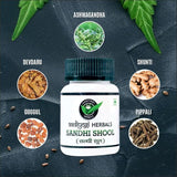 Aadiyogi Herbals Sandhi Shool Vati for Joint Point Relief 30 Tablets | Ayurvedic Supplement, Bone and Joint Wellness (Pack of 2)