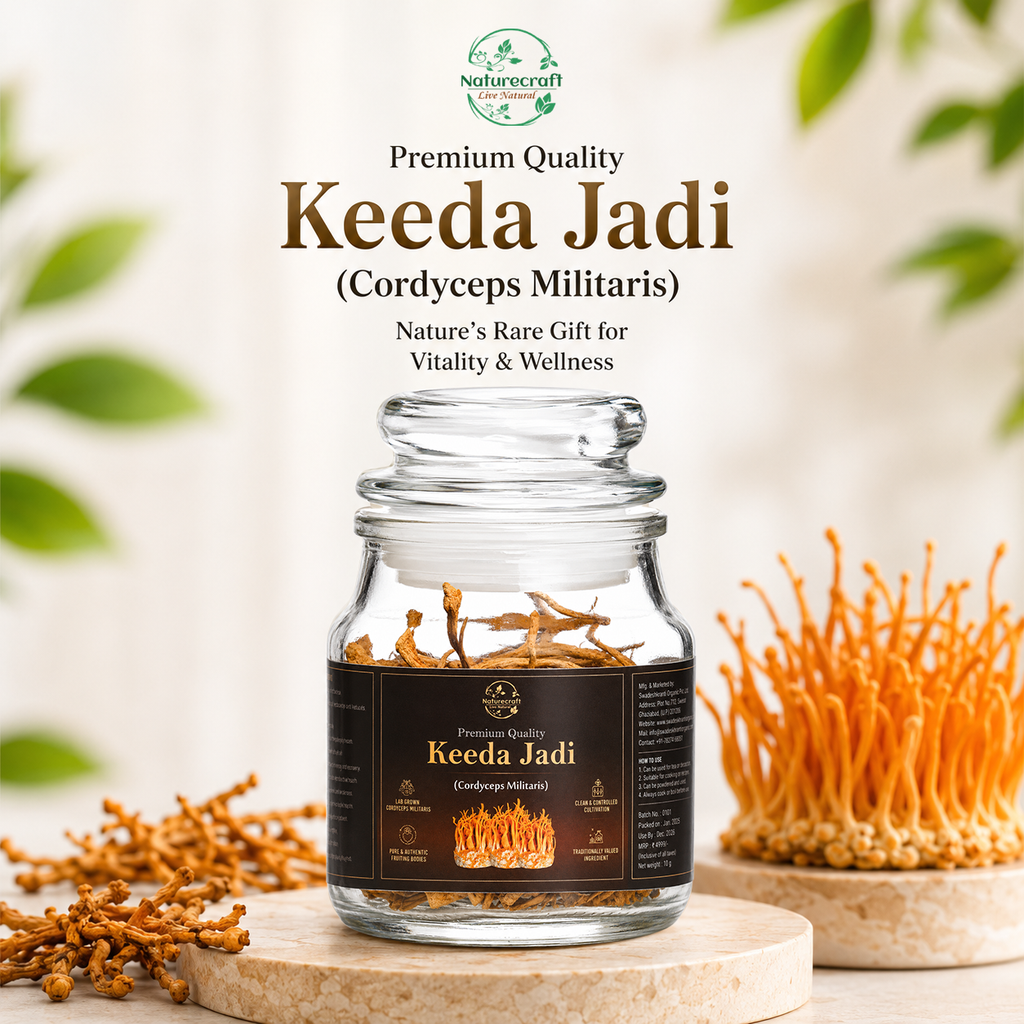 Keeda Jadi – Lab Grown Cordyceps militaris