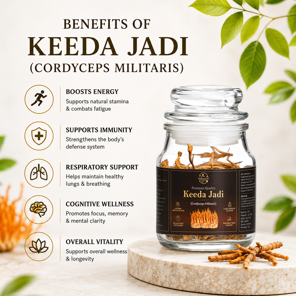 Keeda Jadi – Lab Grown Cordyceps militaris