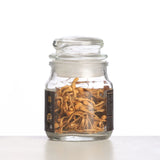 Kida Jadi (Cordyceps militaris) Lab Grown | Energy & Vitality Support
