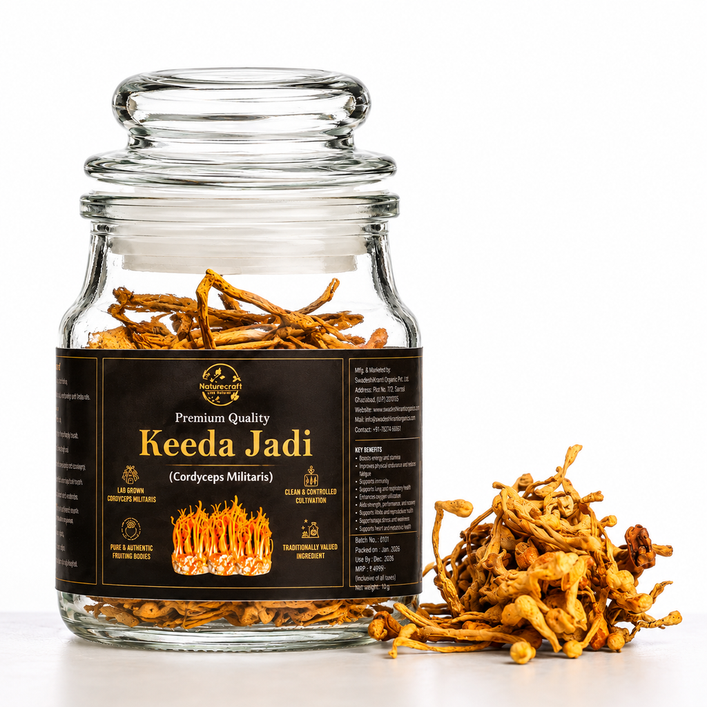 Keeda Jadi – Lab Grown Cordyceps militaris