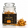 Keeda Jadi – Lab Grown Cordyceps militaris