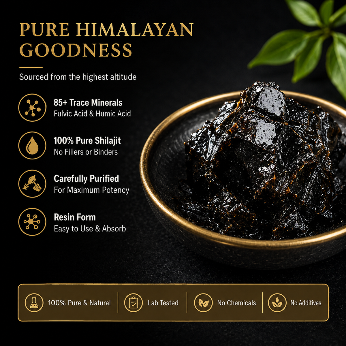 Pure Shilajit Resin – Ayurvedic Mineral Supplement